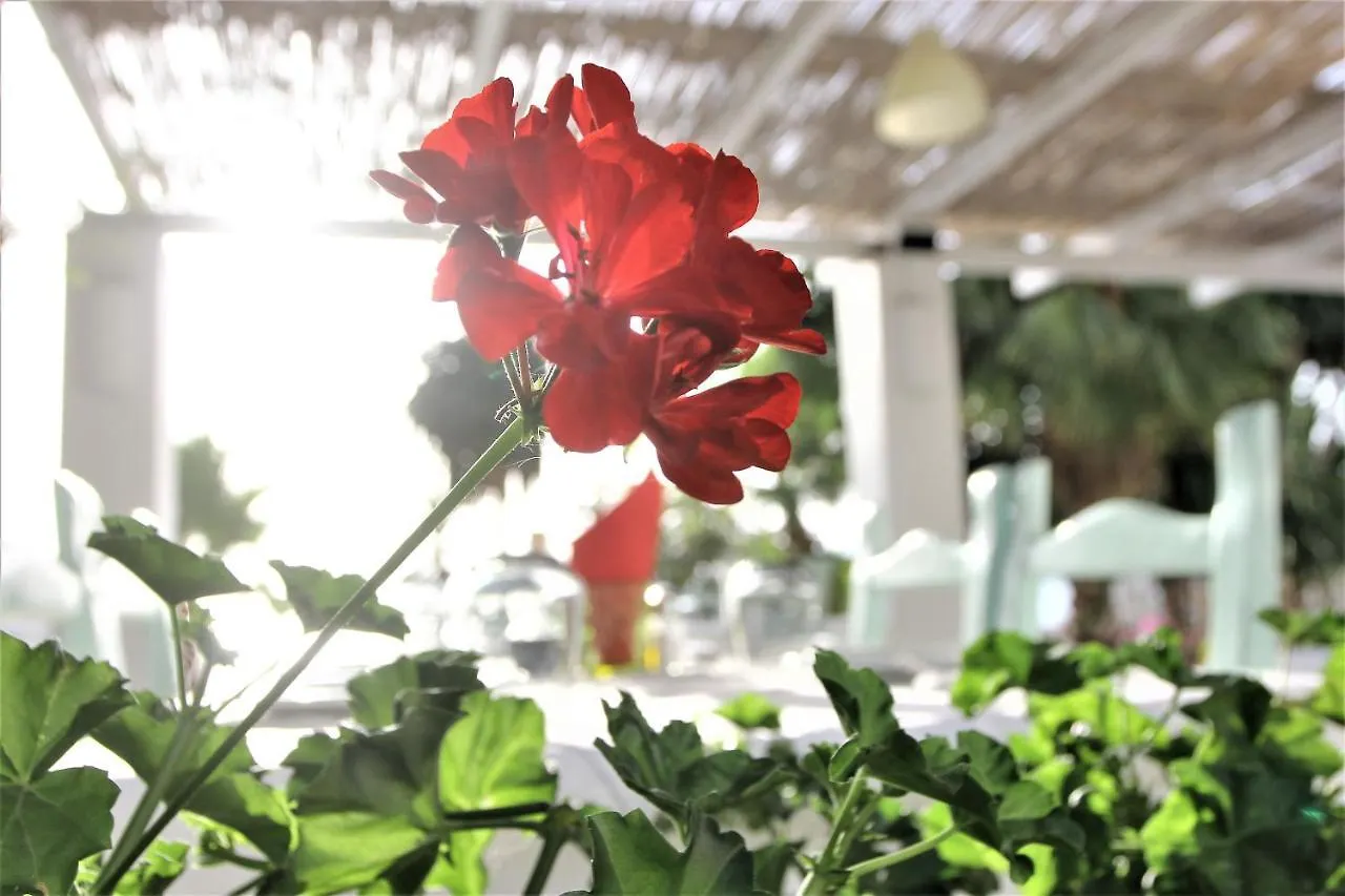 Saranda Hotel  Σαράντα